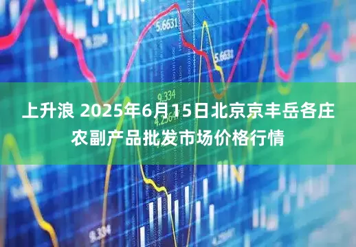 上升浪 2025年6月15日北京京丰岳各庄农副产品批发市场价格行情